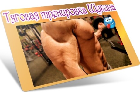 Тяговая тренировка Щукина (2012) DVDRip