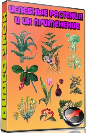 Целебные растения и их применение (2012) DVDRip