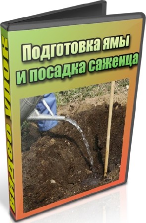 Подготовка ямы и посадка саженца (2012) DVDRip