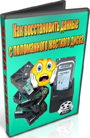 Как восстановить данные с поломанного жесткого диска (2012) DVDRip